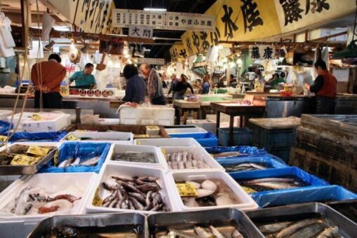 tokyo balık pazarı